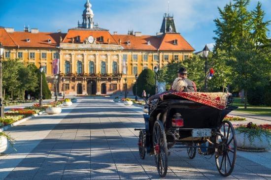 Stan Na Dan Apartman Stella Сомбор Экстерьер фото