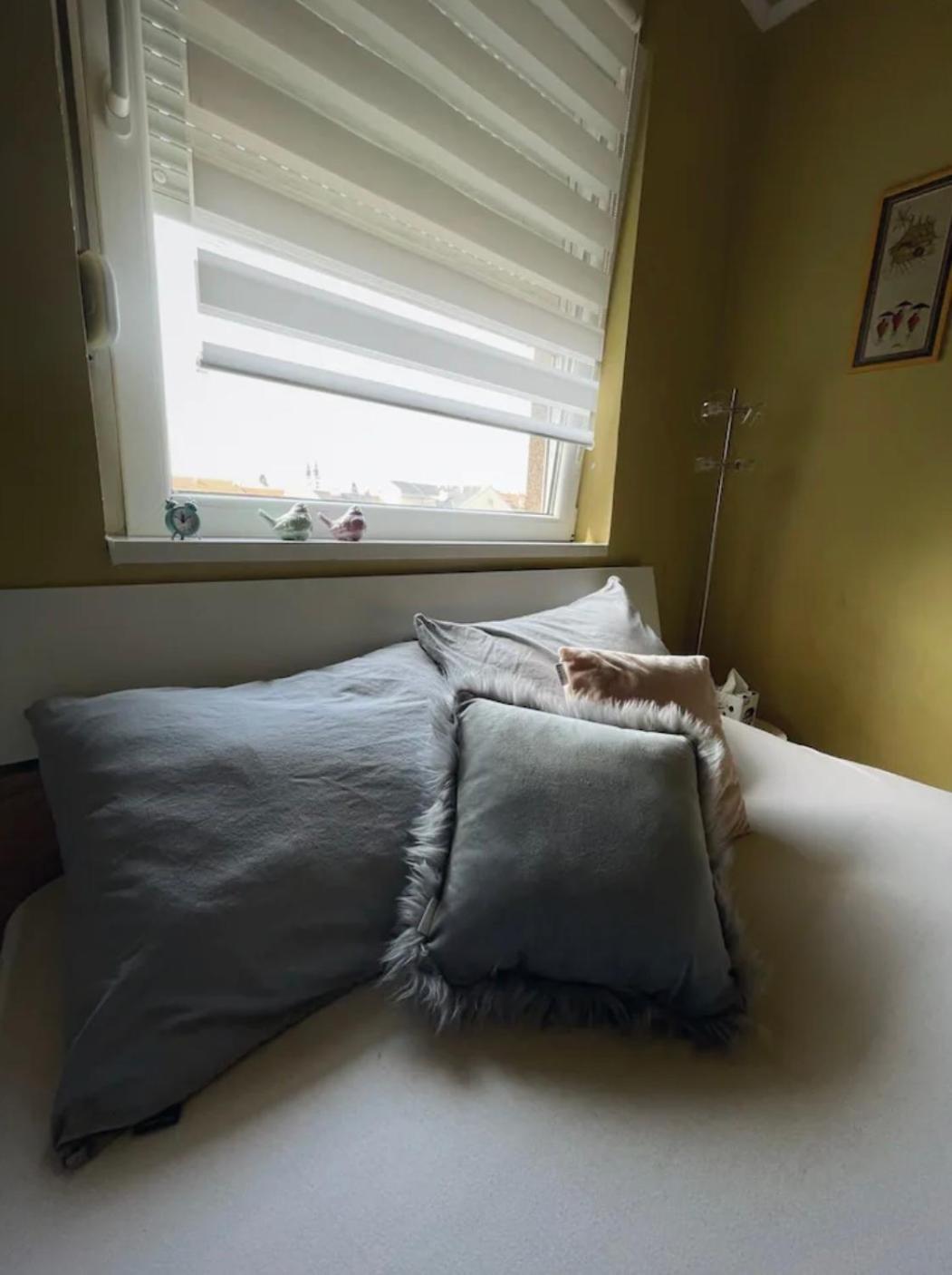 Stan Na Dan Apartman Stella Сомбор Экстерьер фото